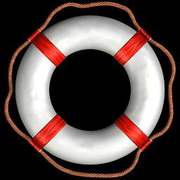 Logo Lifeboat Foundation