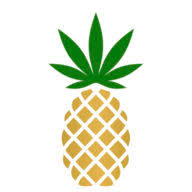 Logo Pineapple, Inc.