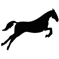 Logo Chastain Horse Park Ltd.