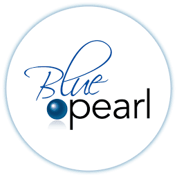 Logo Blue Pearl Mining Ltd.