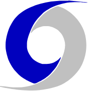 Logo DXStorm.com, Inc.