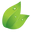 Logo Datinvest International Ltd.