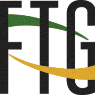 Logo Firan Technology Group Corp.