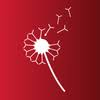 Logo CytImmune Sciences, Inc.