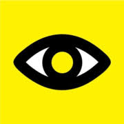 Logo The Macular Disease Society