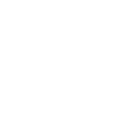 Logo Spinnaker Trust