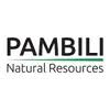 Logo Pambili Natural Resources Corp.