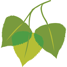 Logo Birch Hill Investment Advisors LLC