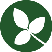 Logo Round Table on Responsible Soy Association