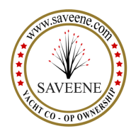 Logo Saveene Group Corp.