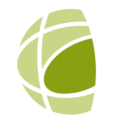 Logo Decisyon, Inc.