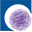 Logo Regen Biopharma, Inc.
