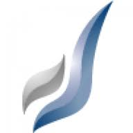 Logo Star Wealth Group, Inc.