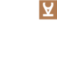 Logo Distell International Ltd.