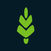 Logo Viken Skog SA