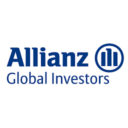 Logo Brunner Investment Trust Plc