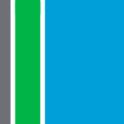 Logo RSM US LLP
