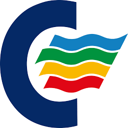 Logo Color Group AS