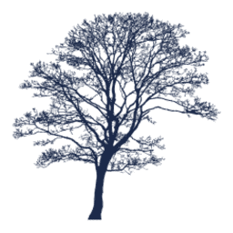 Logo Thompson Davis & Co., Inc.