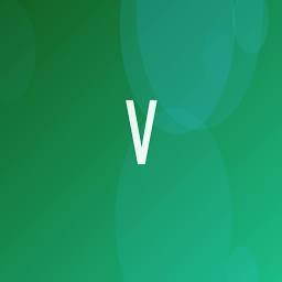 Logo Vertical Networks, Inc.