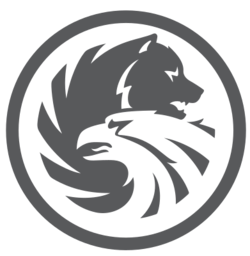 Logo Russian Standard Bank CJSC