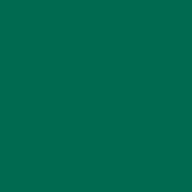 Logo Pacific Century Group Holdings (HK) Ltd.