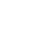 Logo Cerro Vanguardia SA