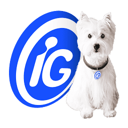 Logo Internet Group do Brasil SA