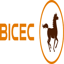 Logo Banque Internationale du Cameroun pour l'Epargne et le Crédit