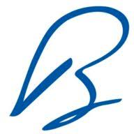 Logo Brederode SA (Investment Management)