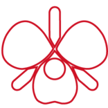 Logo Okigin Securities Ltd.