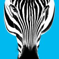 Logo Cobolt AB