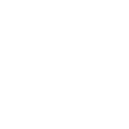 Logo International Union UAW