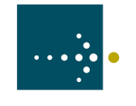 Logo Savantage Solutions, Inc.