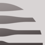 Logo STORZ MEDICAL AG