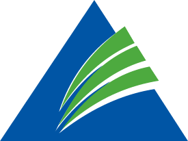 Logo Peninsular Capital Market India Ltd.