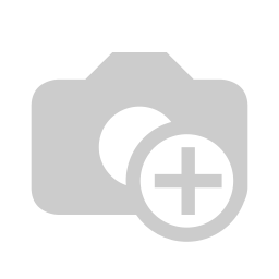 Logo The Magnet Group, Inc.