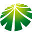Logo Shanshan Holding Co., Ltd.