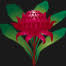 Logo Waratah Coal, Inc.