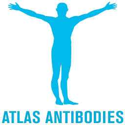 Logo Atlas Antibodies AB