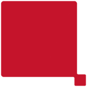 Logo Ricoh Electronics, Inc.
