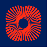 Logo U.S.-India Business Council