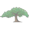 Logo Smith/Packett Med-Com LLC