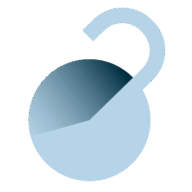 Logo National Organization on Disability