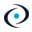 Logo Global Association of Risk Professionals