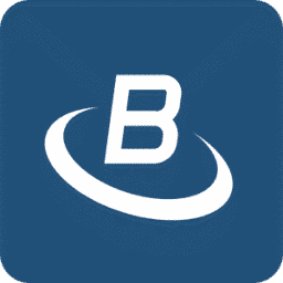 Logo Barzily & Co.