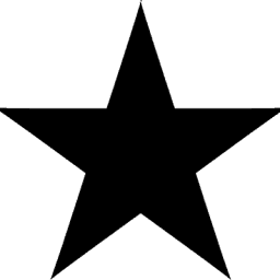 Logo Star Paving Co. Division of The Cruz Corp.