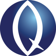 Logo Quyn International Outsourcing (Pty) Ltd.
