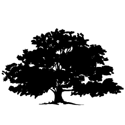 Logo Scopes Landscape