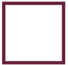Logo Pioneer Capital Partners Ltd.
